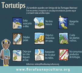 Campaña Tortutips 2018