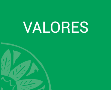 Valores - Flora, Fauna y Cultura de México AC.