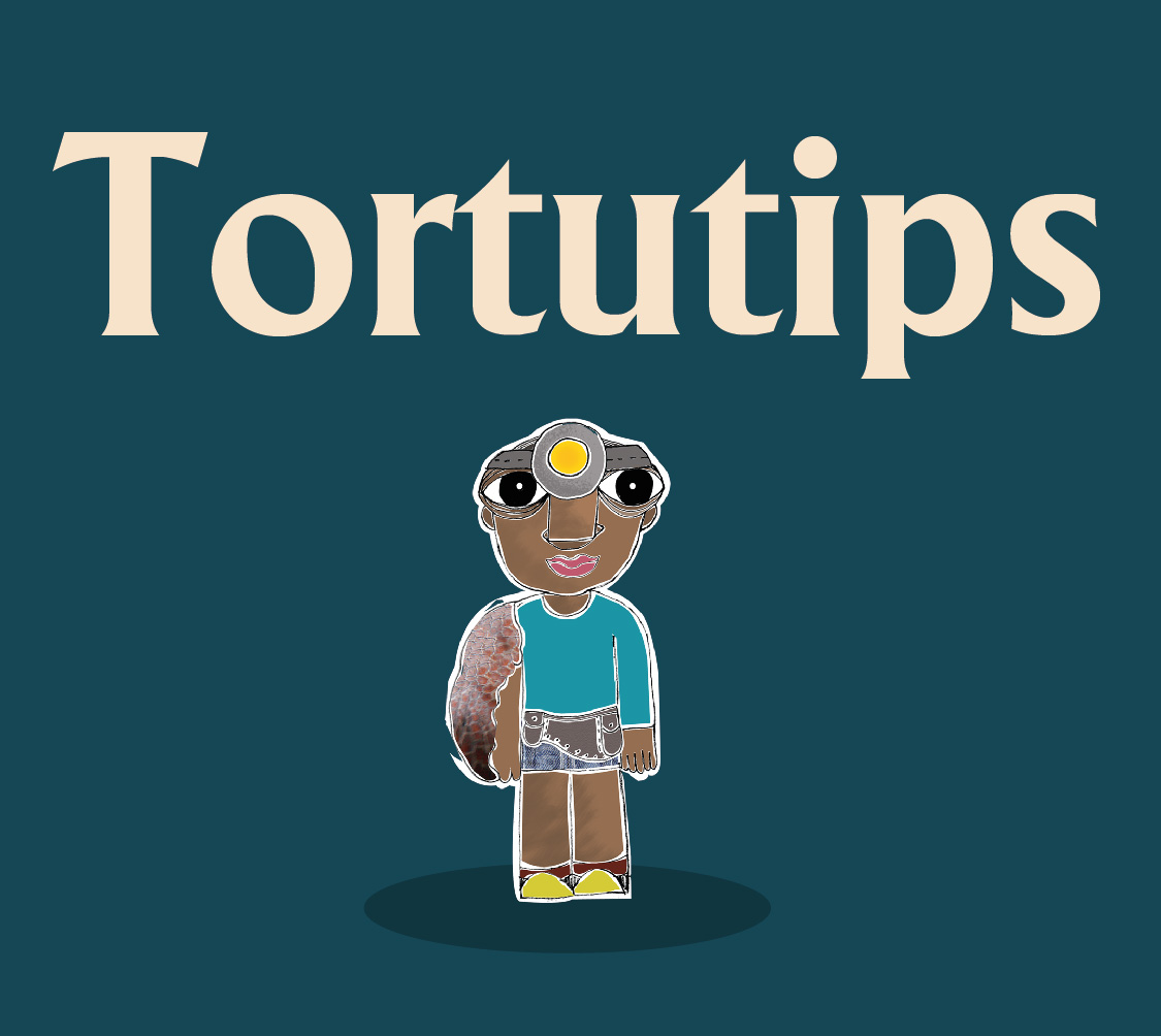 ¿Qué debo hacer si me encuentro en una playa de anidación de tortugas marinas?