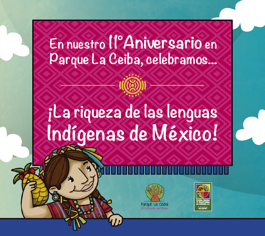 11 años haciendo comunidad