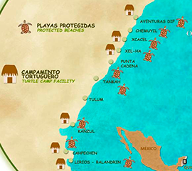 Ubicación de campamentos