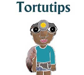 Inicia Campaña Tortutips