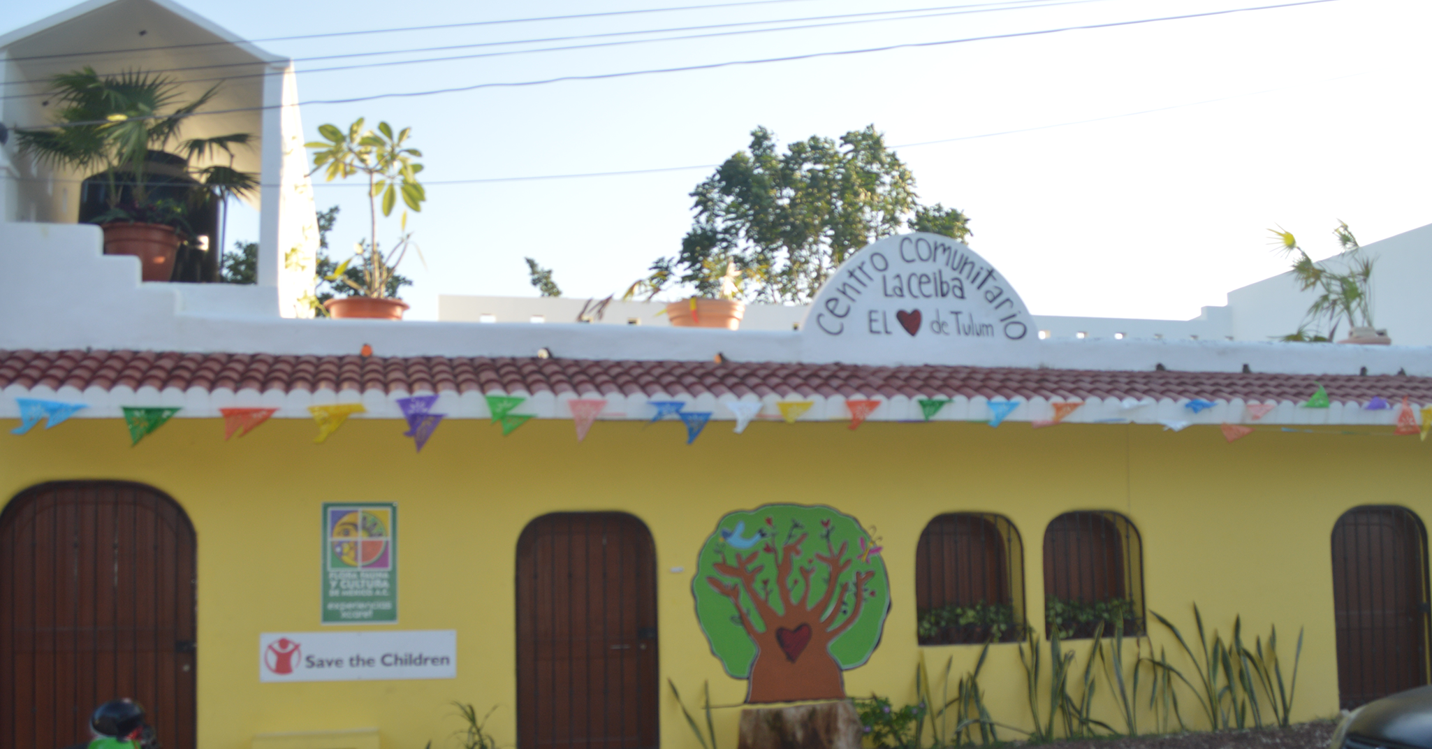 Flora, Fauna y Cultura de México
