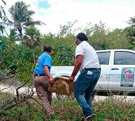 Sumando esfuerzos por la conservación
