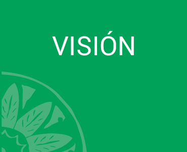 Vision - Flora, Fauna y Cultura de México AC.